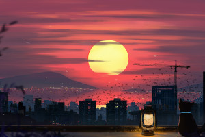 B站视频测试_Test